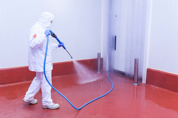 Paint Preparation in Monroeville, IN